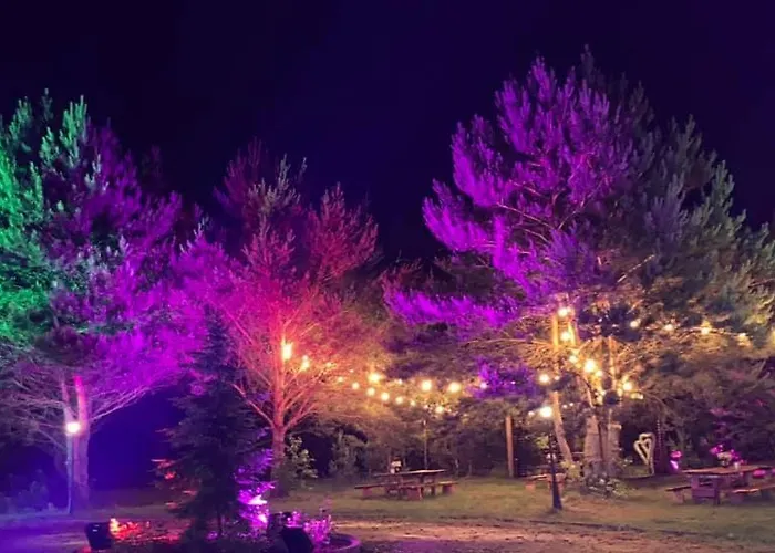 Miodowy Zakatek Caloroczne I Przy Suntago, Deepspot, Pyszne Sniadania, Grill Üdülőpark Mszczonów